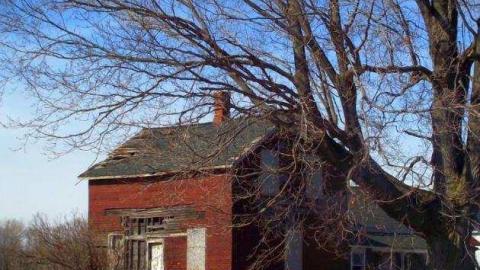 Feeling A Little Blue photo 4