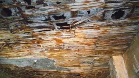 Photo from 1709 Windham Rd