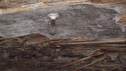 Feeling A Little Blue photo 5