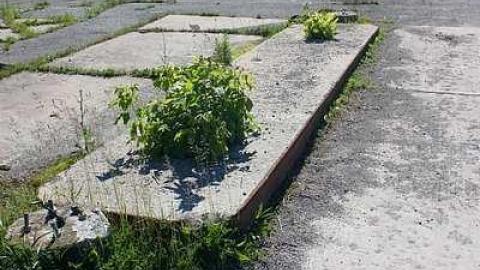 June 2014 - Gas-Station66.jpg