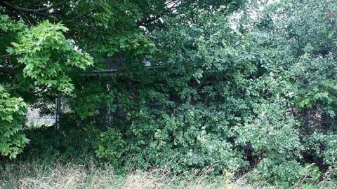 Sept 2014 - Farm-House32.jpg