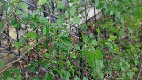 Sept 2014 - Farm-House25.jpg