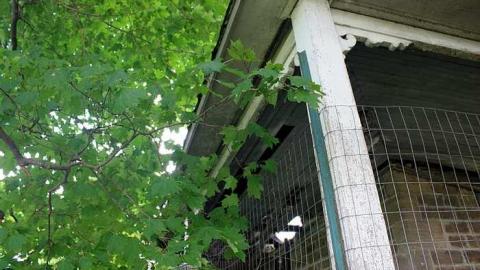 Sept 2014 - Farm-House38.jpg