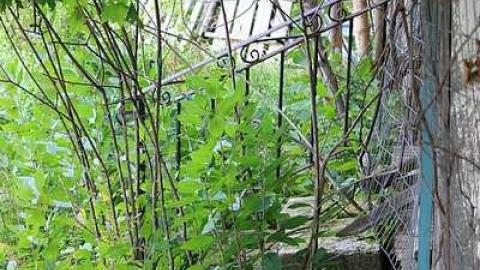 Farm House 2 - Merrickville-Wolford, Ontario