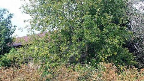 Sept 2014 - Farm-House40.jpg