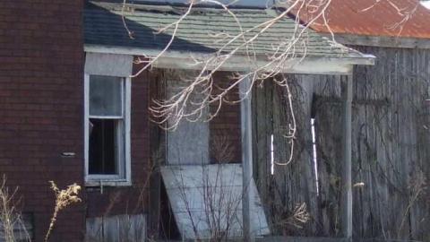 Feeling A Little Blue photo 3