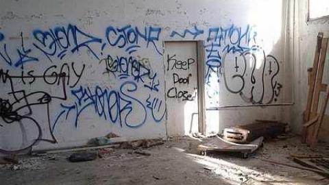 Photo from First Snow