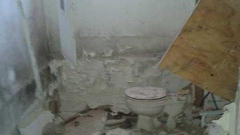 Photo from First Snow