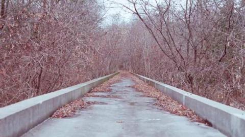 Canadian Domain Ride photo 2