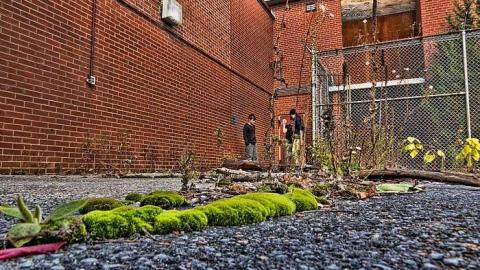 Busting into and out of a Max - Millbrook-Correctional3.jpg