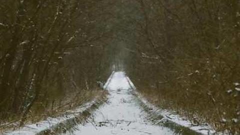 Various Shots - Canadian-Domain-Ride52.jpg