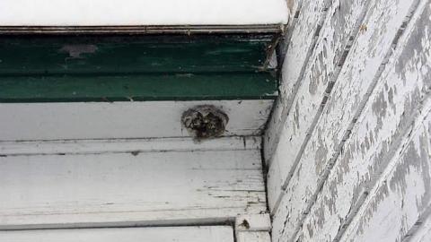 Dec 2014 - Recked-Rectory14.jpg