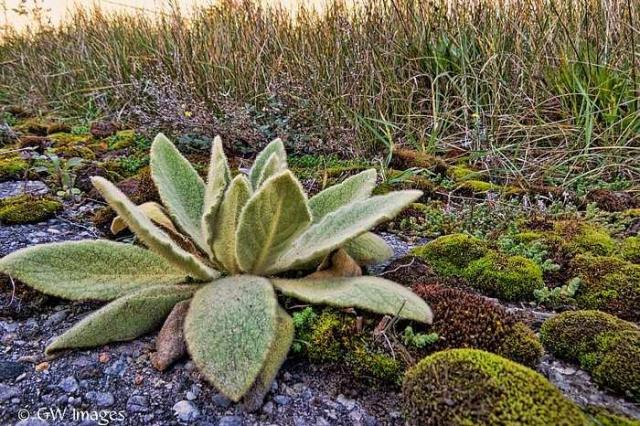 Millbrook Correctional photo 4