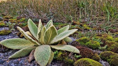 Millbrook Correctional photo 4