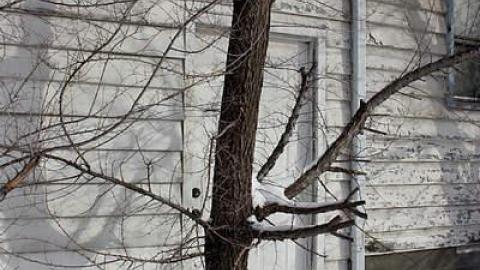 Dec 2014 - Sentry-on-the-Roof26.jpg