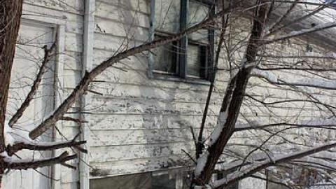 Sentry on the Roof - Ottawa, Ontario