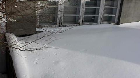 Sentry on the Roof photo 2