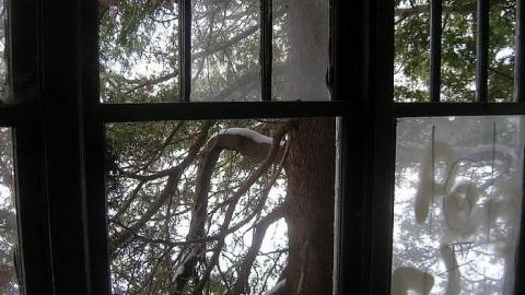 Dec 2014 - Colin-Is......18.jpg