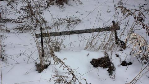 Dec 2014 - Colin-Is......20.jpg