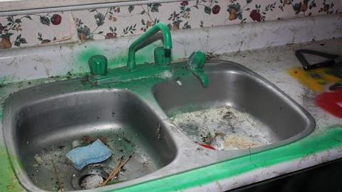 Dec 2014 - Colin-Is......25.jpg