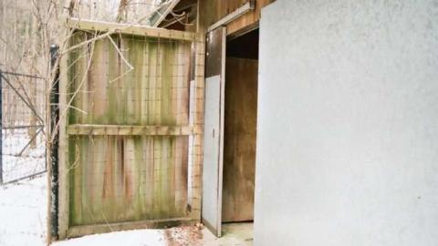 Various Shots - Canadian-Domain-Ride61.jpg