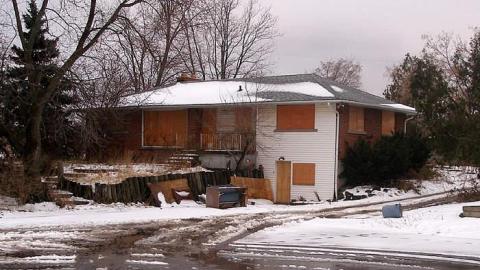 Boarding Pets - The-Pet-Vet15.jpg