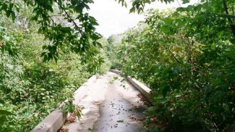 Photo from Various Shots2