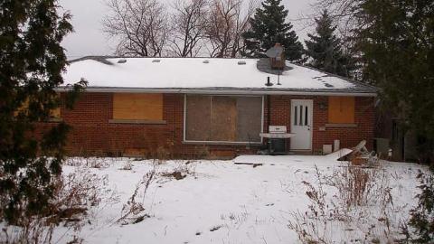 Boarding Pets - The-Pet-Vet16.jpg