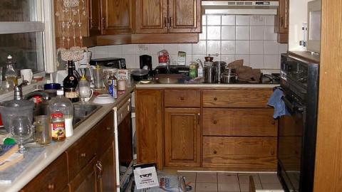 Boarding Pets - The-Pet-Vet17.jpg