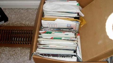 Boarding Pets - The-Pet-Vet21.jpg