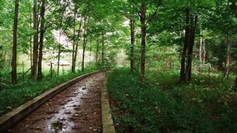 Photo from Various Shots2