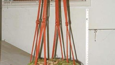 Boarding Pets - The-Pet-Vet24.jpg