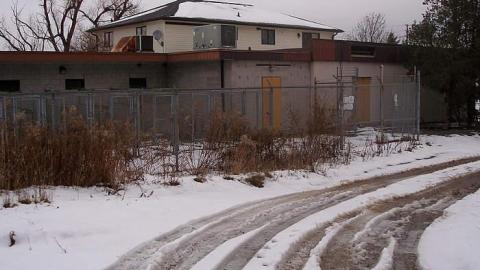 Boarding Pets - The-Pet-Vet33.jpg