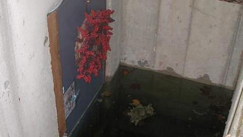 Boarding Pets - The-Pet-Vet25.jpg