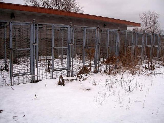 The Pet Vet - Oakville, Ontario