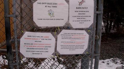 Boarding Pets - The-Pet-Vet4.jpg