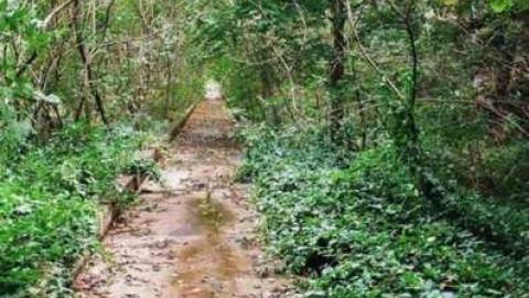 Various Shots2 - Canadian-Domain-Ride40.jpg