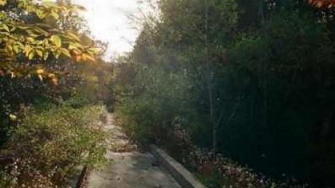 Various Shots2 - Canadian-Domain-Ride43.jpg