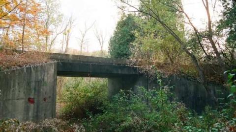 Various Shots2 - Canadian-Domain-Ride44.jpg