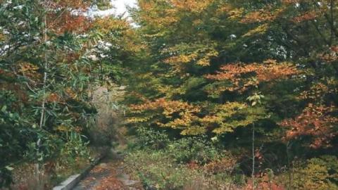 Various Shots2 - Canadian-Domain-Ride45.jpg