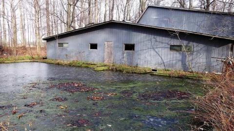 Dec '14 - DSC00173.jpg