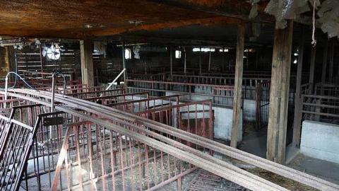 Dec '14 - DSC00177.jpg