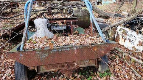 Dec '14 - DSC00217.jpg