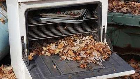 Dec '14 - DSC00221.jpg