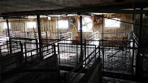 Dec '14 - DSC00222.jpg