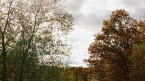 Photo from Various Shots2