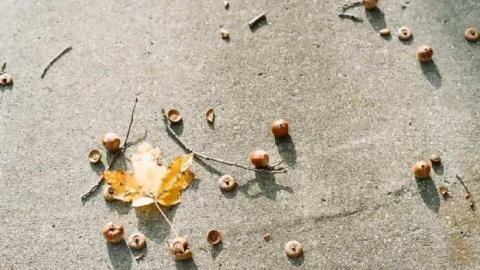 Various Shots2 - Canadian-Domain-Ride29.jpg