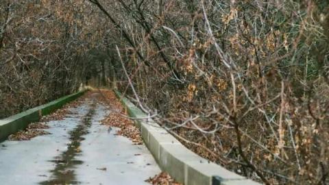 Photo from Various Shots2