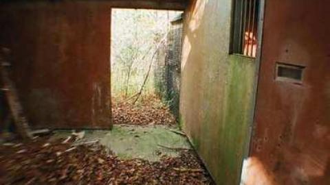 Various Shots2 - Canadian-Domain-Ride35.jpg