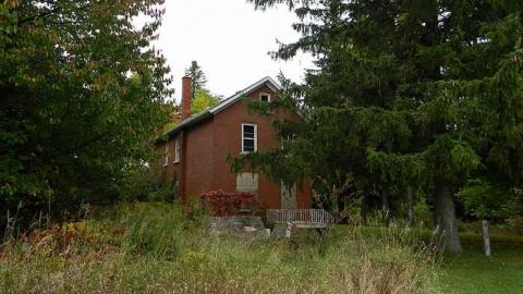 Early Peelies - Nature-Centre-House17.jpg